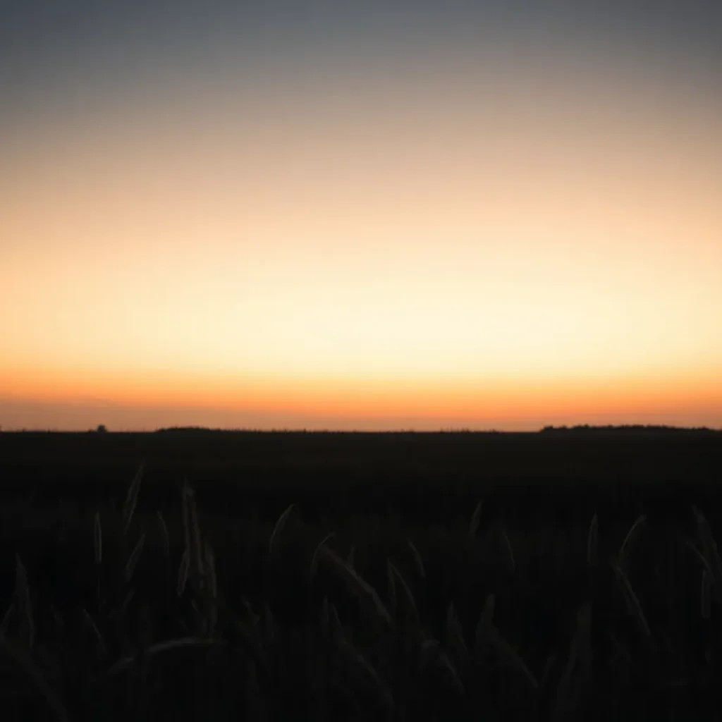 A field at dusk representing sorrow and loss.