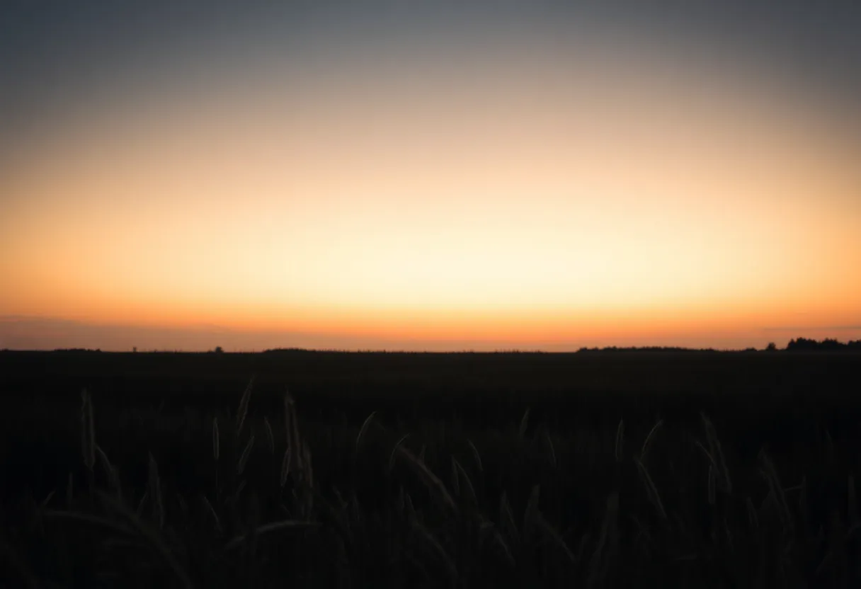 A field at dusk representing sorrow and loss.