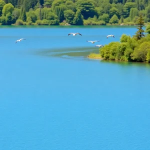A vibrant landscape of Lake Munson showcasing ecological health