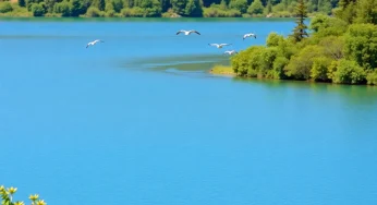 Leon County Commission Reviews Lake Munson Action Plan Progress