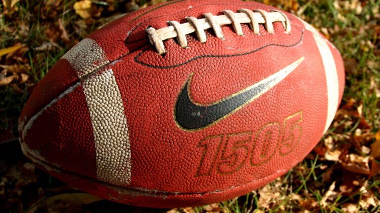 UAPB Spoils FAMU Homecoming 31-28 in Tallahassee